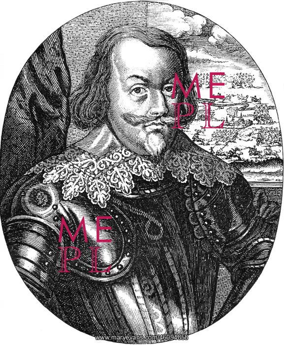 : Count Johan Baner : Count Johan Baner