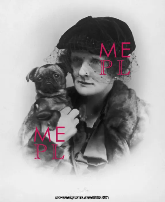  : COUNTESS HOWE DOG