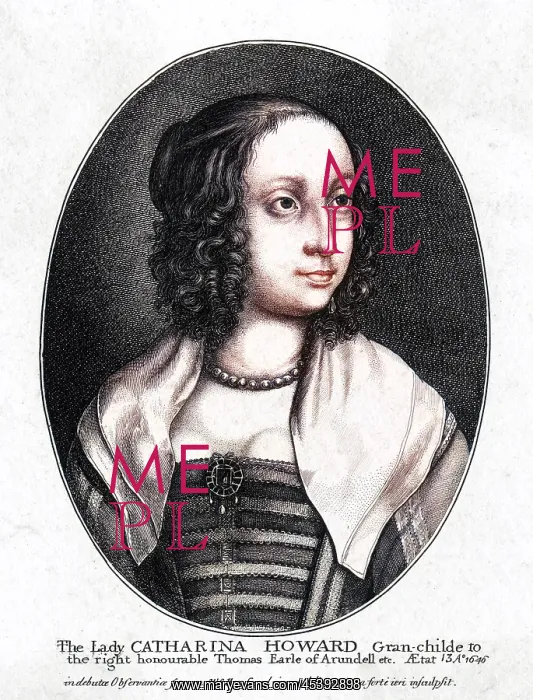 : COUNTESS OF NEWBIRGH - 2 : COUNTESS OF NEWBIRGH - 2
