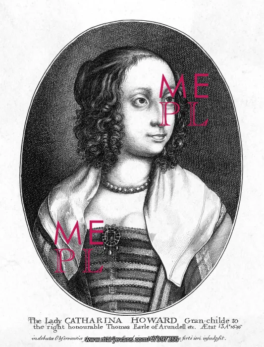 : COUNTESS OF NEWBIRGH - 2 : COUNTESS OF NEWBIRGH - 2