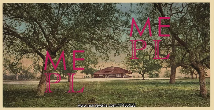 : The country club, Pasadena : The country club, Pasadena