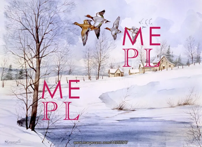 : Country landscape in winter with flying ducks : Country landscape in winter with flying ducks