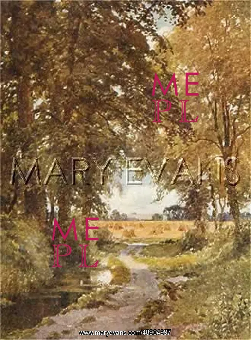 : A COUNTRY LANE : A COUNTRY LANE