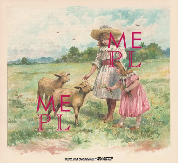 : Country Scene : Country Scene