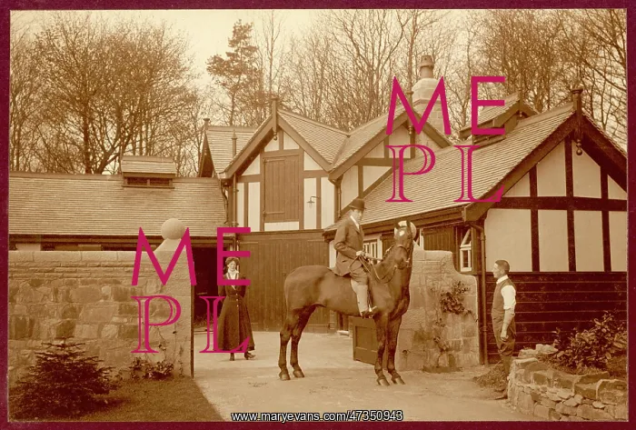 : COUNTRY STABLES : COUNTRY STABLES