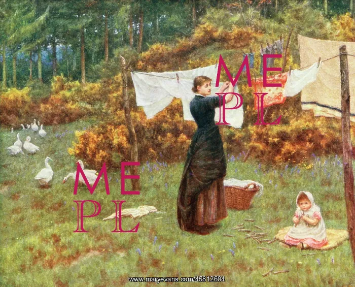  : COUNTRY WASHING DAY