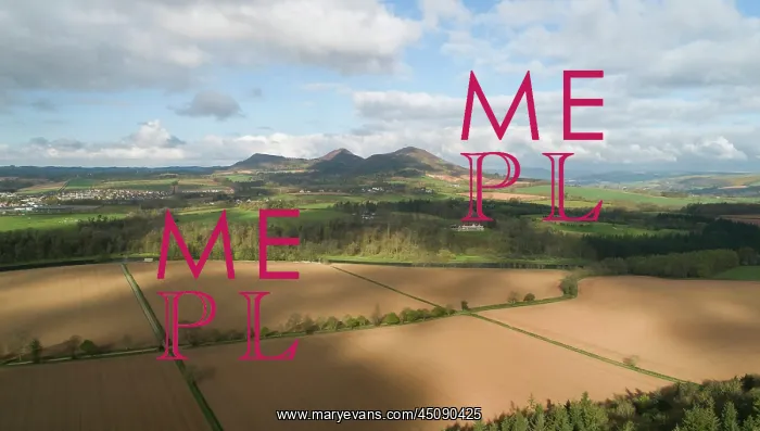 : Countryside at Bemersyde, Borders, Scotland : Countryside at Bemersyde, Borders, Scotland