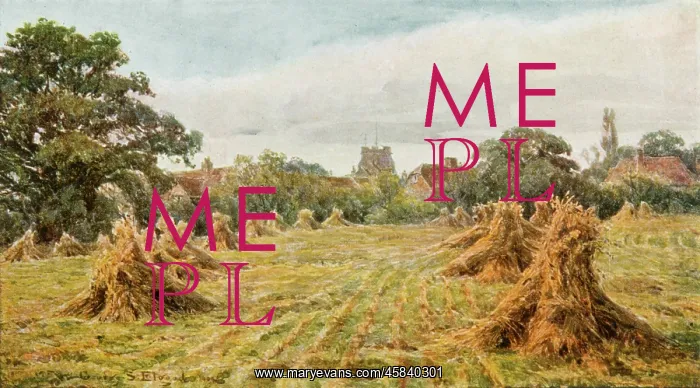  : COUNTRYSIDE FIELD 1906