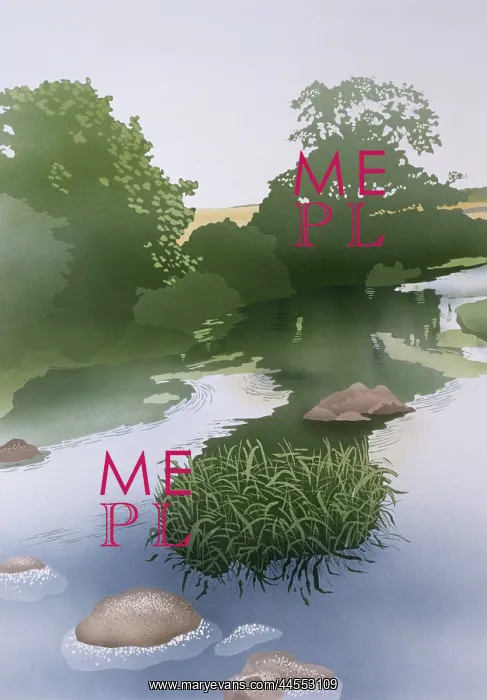 : A countryside stream : A countryside stream
