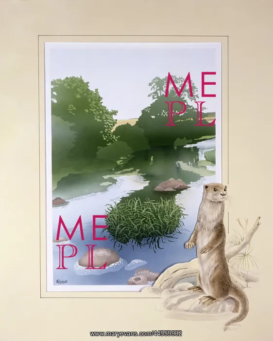 : A countryside stream with an otter : A countryside stream with an otter
