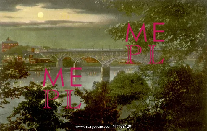  : County Bridge. Knoxville