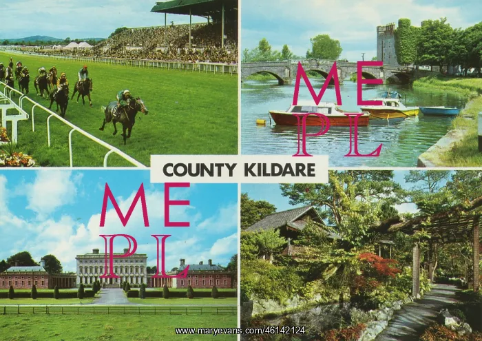 : County Kildare, Republic of Ireland : County Kildare, Republic of Ireland