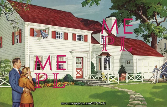 : Couple admires New House : Couple admires New House