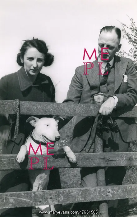  : Couple with a bull terrier