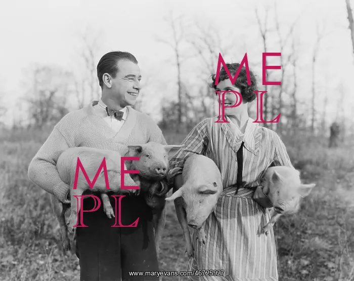 : Couple carrying pigs : Couple carrying pigs