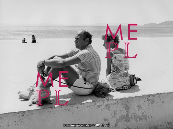 : Couple and dog on a wall near a beach : Couple and dog on a wall near a beach