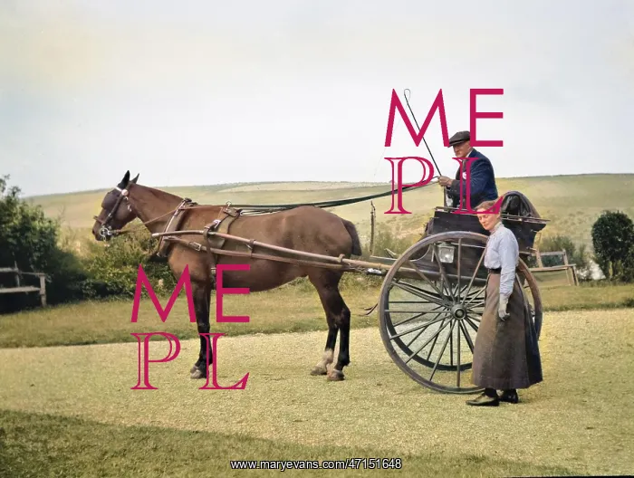 : Couple with horse-drawn trap : Couple with horse-drawn trap