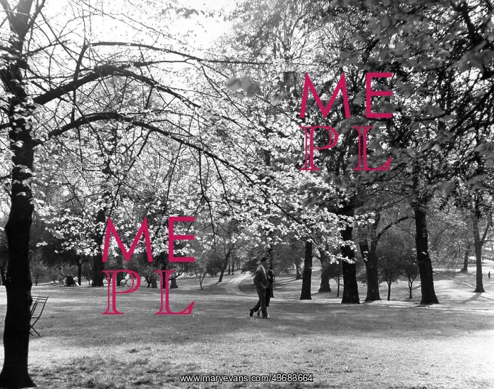  : COUPLE IN HYDE PARK