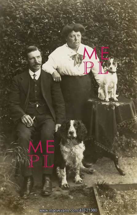: Couple with Jack Russell and Cocker Spaniel : Couple with Jack Russell and Cocker Spaniel