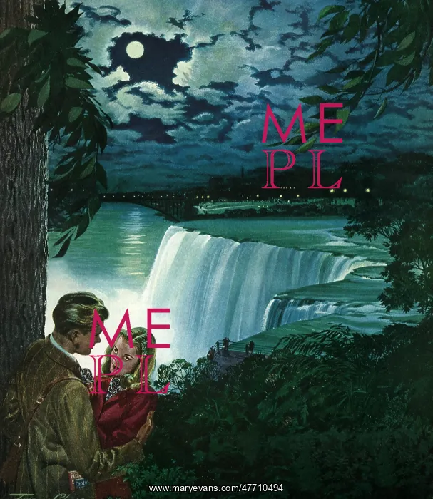 : Couple at Niagara Falls : Couple at Niagara Falls