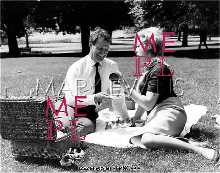 : COUPLE PICNICING : COUPLE PICNICING