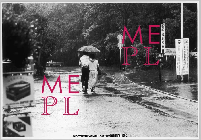  : COUPLE IN THE RAIN / KYOTO