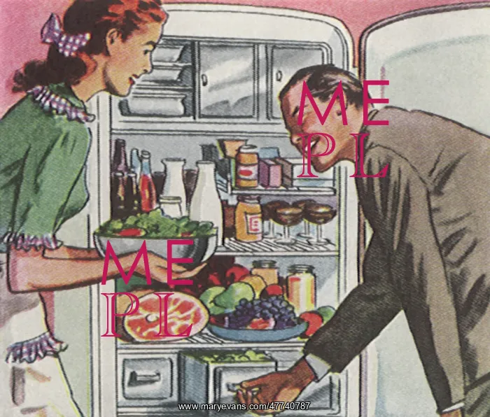 : Couple at Refrigerator : Couple at Refrigerator