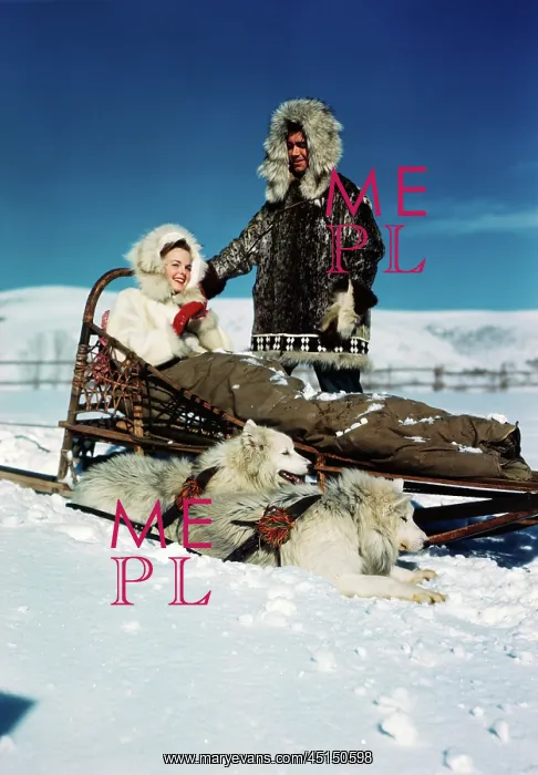 : Couple Riding Dog Sled in Winter : Couple Riding Dog Sled in Winter