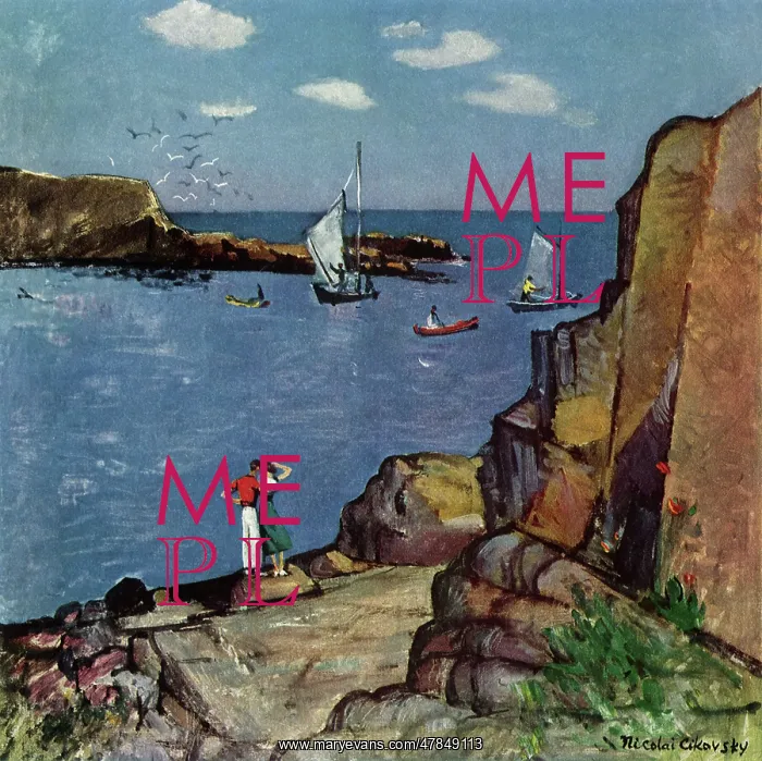  : Couple on Rocky Coast