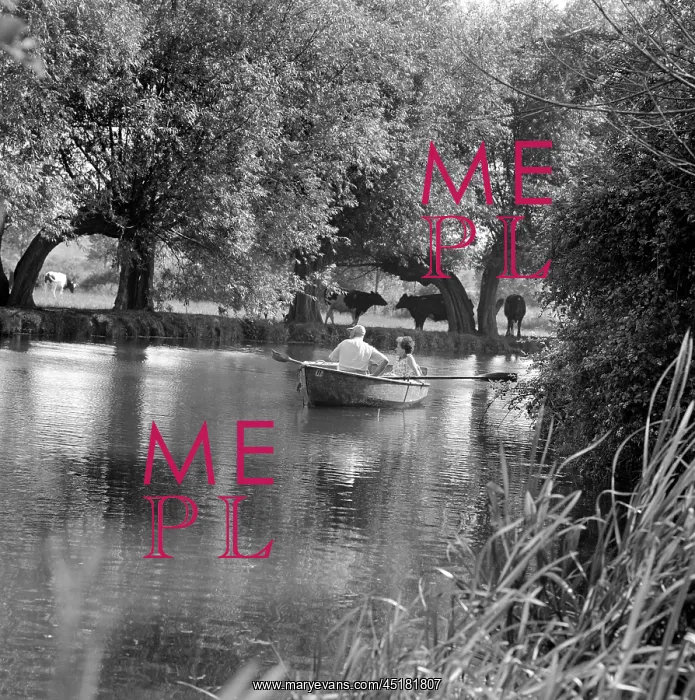: Couple Rowing : Couple Rowing
