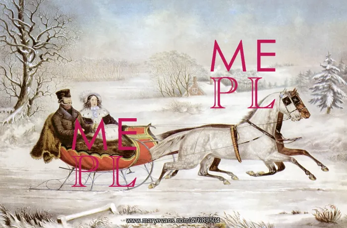  : Couple in Sleigh