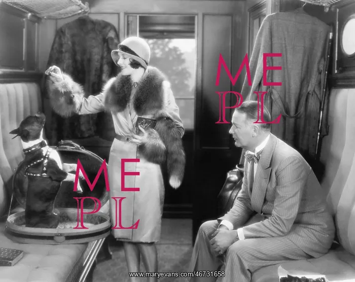 : Couple together in a train and feeding a dog : Couple together in a train and feeding a dog