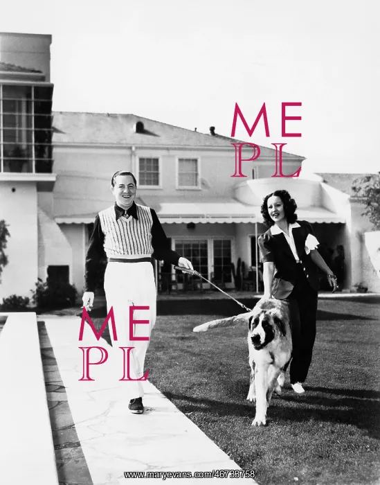 : Couple walking their St. Bernard outside their home : Couple walking their St. Bernard outside their home