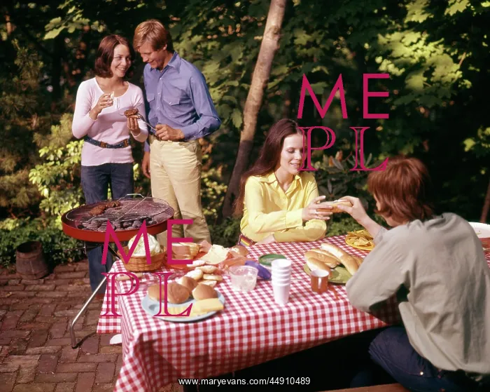 : Two Couples Having Backyard Picnic : Two Couples Having Backyard Picnic