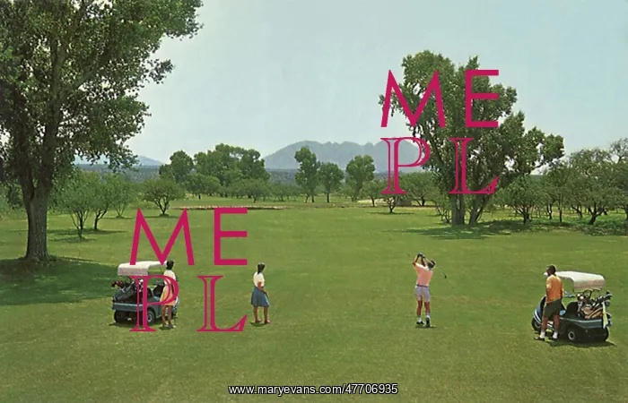  : Couples Play Golf