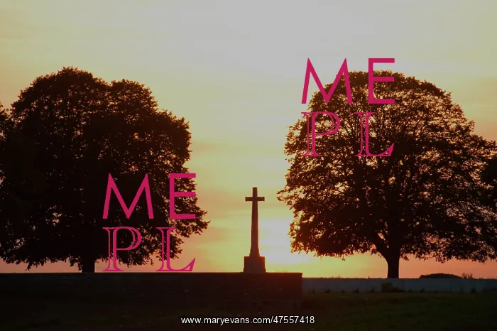 : Courcelette Cemetery - Somme Battlefield : Courcelette Cemetery - Somme Battlefield