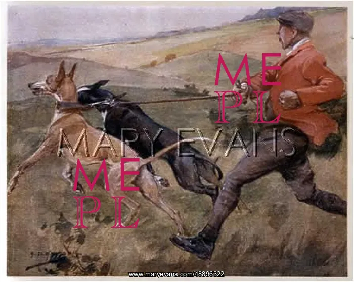 : COURSING - THE SLIPPER : COURSING - THE SLIPPER