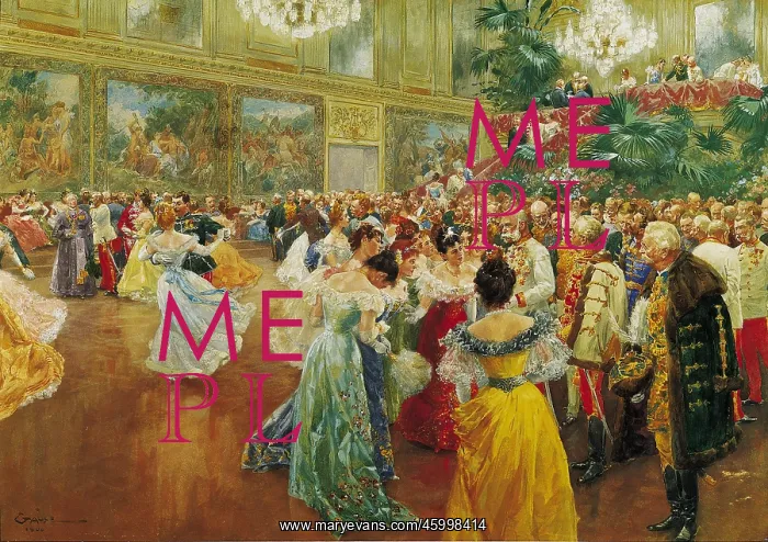 : The Court Ball in Vienna : The Court Ball in Vienna