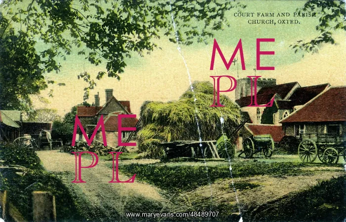 : Court Farm, Oxted, Surrey : Court Farm, Oxted, Surrey