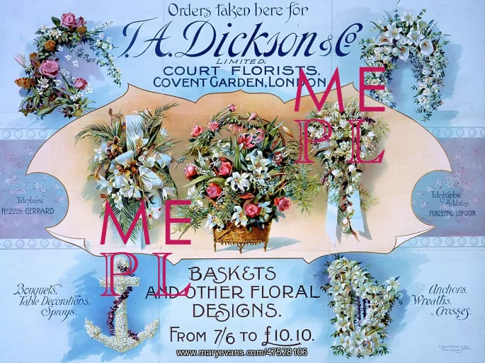  : Court florists advert