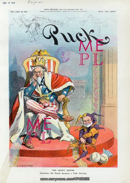 : The court jester : The court jester