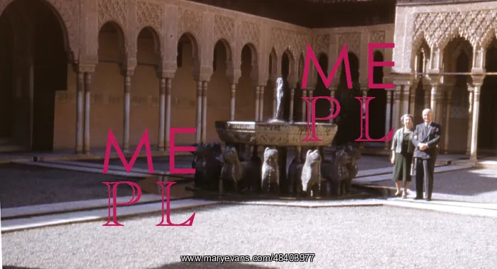 : Court of the Lions, Alhambra : Court of the Lions, Alhambra