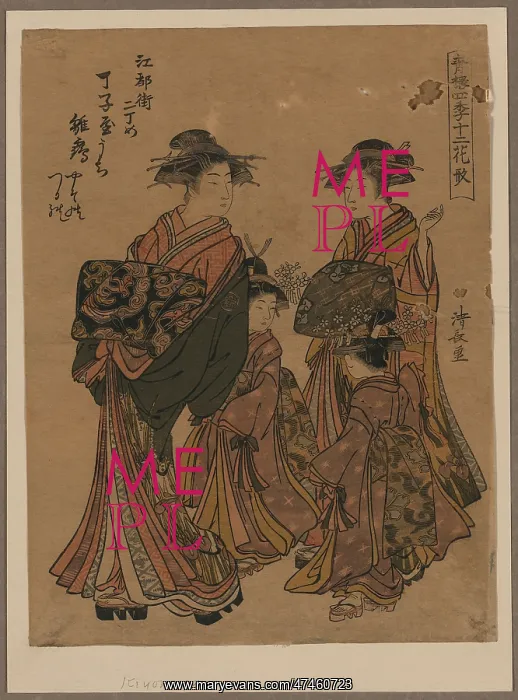 : The courtesan Hinazuru of the Choji-ya : The courtesan Hinazuru of the Choji-ya