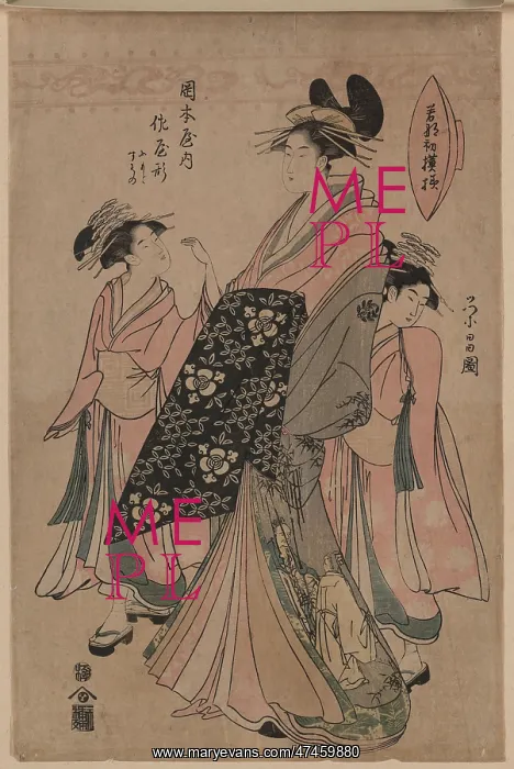 : The courtesan Sayagata of Okamoto-ya : The courtesan Sayagata of Okamoto-ya