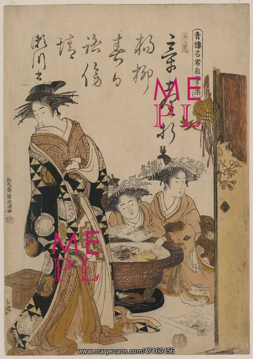 : The courtesan Segawa : The courtesan Segawa
