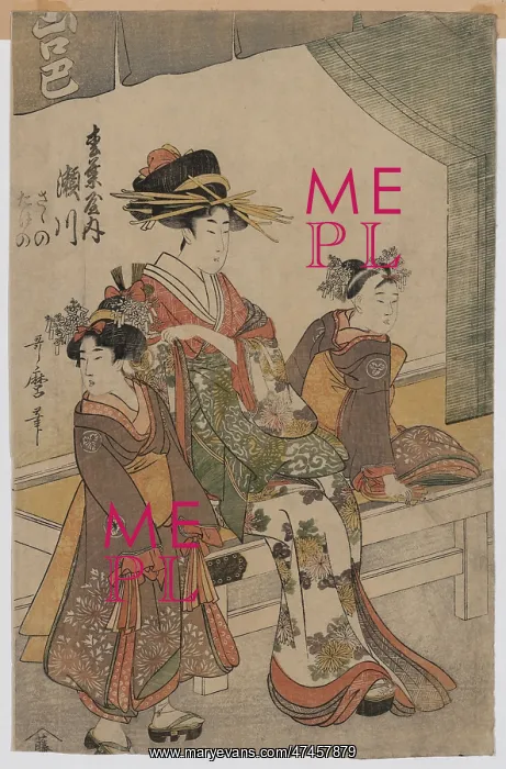 : The Courtesan Segawa of Matsuba-ya : The Courtesan Segawa of Matsuba-ya