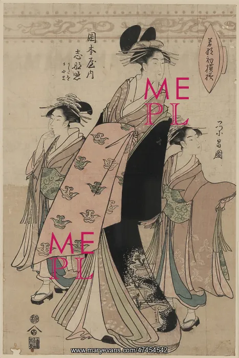 : The courtesan Shinateru of the Okamoto-ya : The courtesan Shinateru of the Okamoto-ya