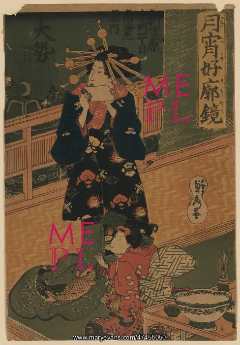 : The Courtesan Taisei of Kadoebi-ya : The Courtesan Taisei of Kadoebi-ya