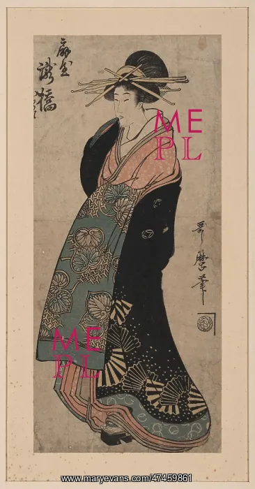 : The courtesan Takihashi of ogi-ya : The courtesan Takihashi of ogi-ya