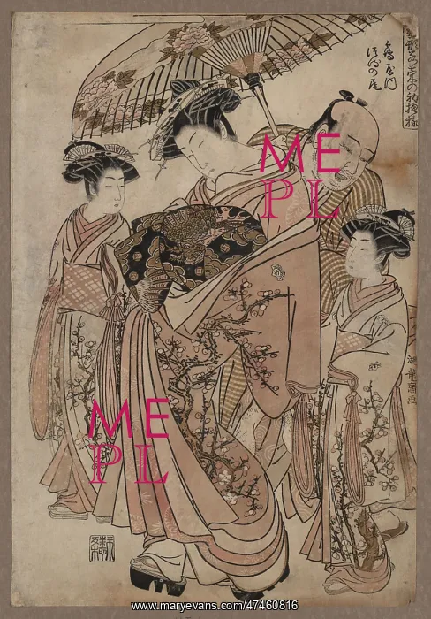 : The courtesan Tsurunoo of Tsuru-ya : The courtesan Tsurunoo of Tsuru-ya